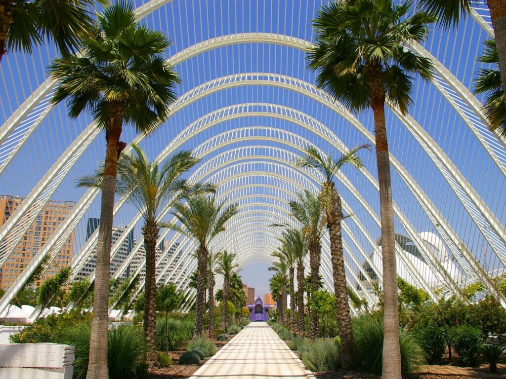 Valencia Bike path through Turia garden to City of Arts and Sciences (Ciudad de las Artes y las Ciencias)