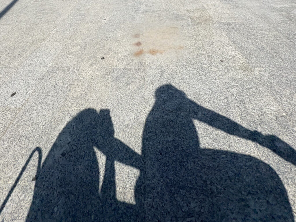 Shadow bike ride in Valencia Beach bike path