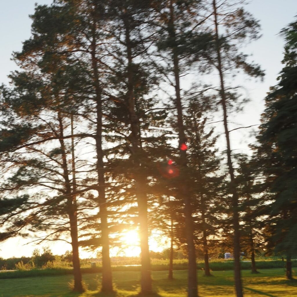 An open green field in Innisfil, Ontario, glowing under the warm, ambient light of a serene golden hour sunset
