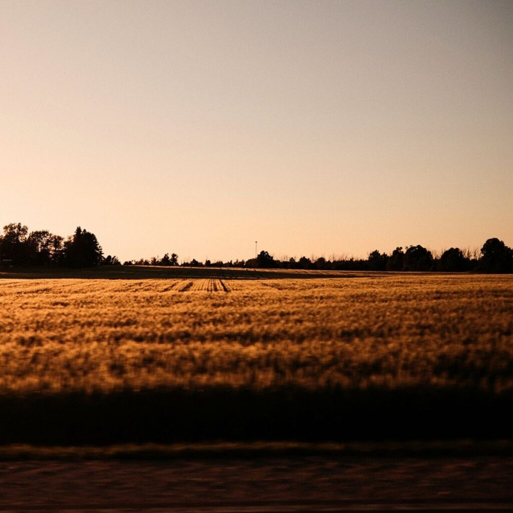 An open field in Innisfil, Ontario, glowing under the warm, ambient light of a serene golden hour sunset