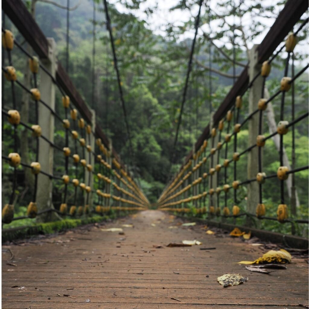 A pedestrian suspension bridge stretching between lush green mountain trails in Taiwan.