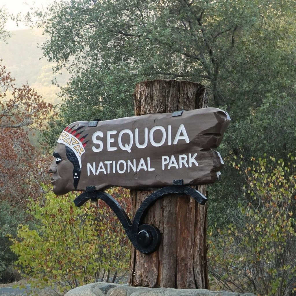 The rustic wooden Sequoia National Park entrance sign with a carved Native American profile on a wooden post surrounded by green forest trees.