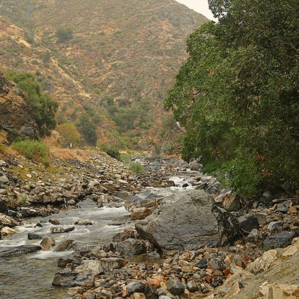 The South Fork Kings River rushing over large gray boulders along the rocky valley floor of Kings Canyon.